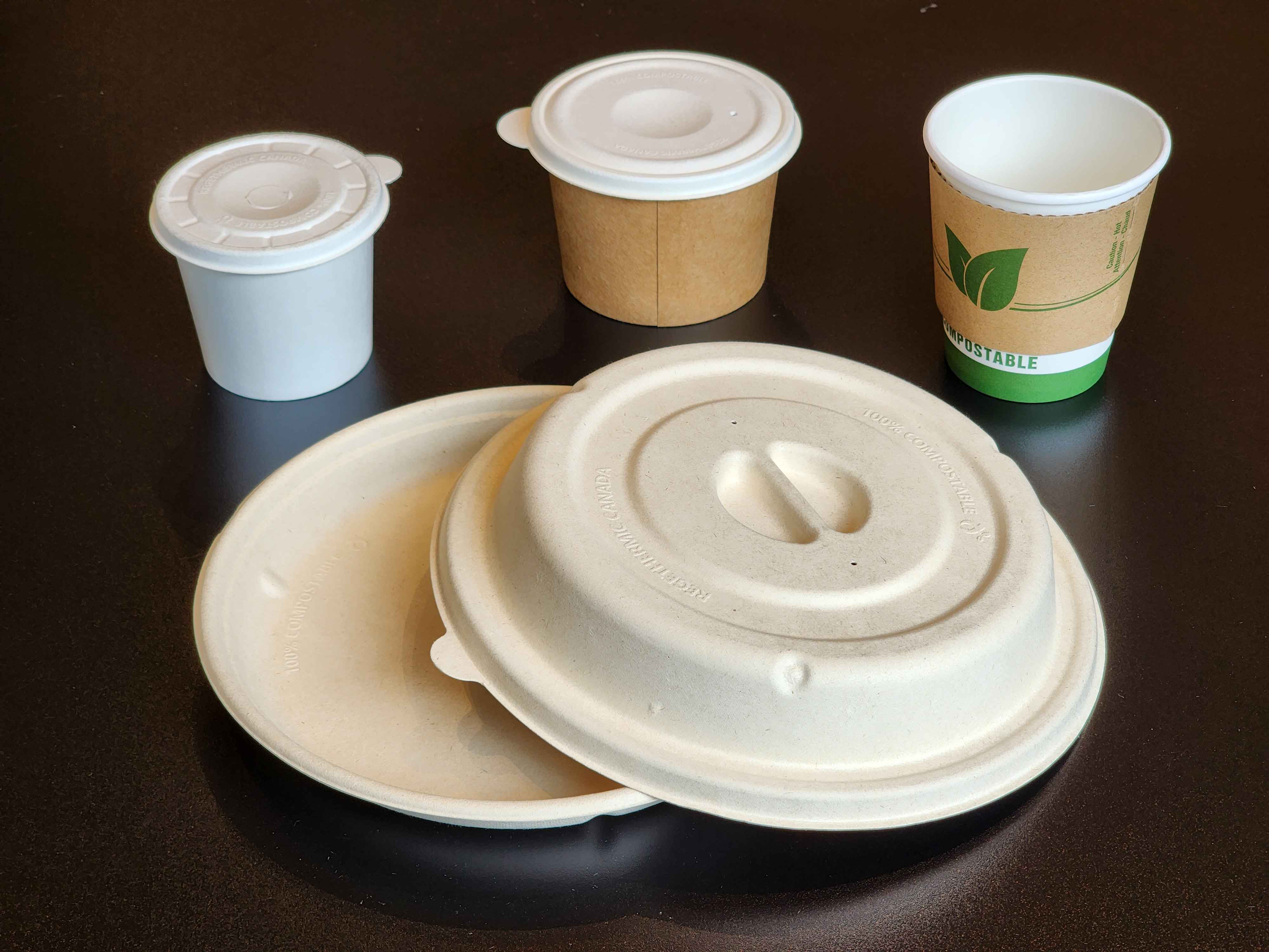 Launch of eco-friendly biodegradable dishware